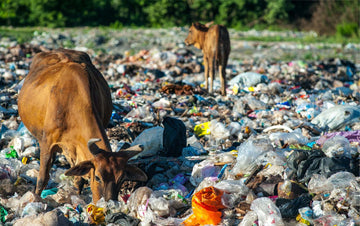 Say no to plastic packaging.