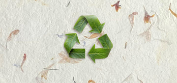Zero-Waste Finish: How Adam Leaves Redefines Responsible Manufacturing