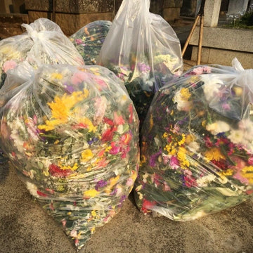 Several large clear plastic bags filled with mixed dried and fresh flowers in yellow, pink, red, white, and green, tied at the top and placed on a concrete ground.