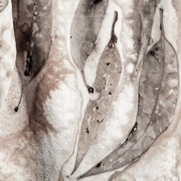 A close-up of a eco-print depicting botanical leaves and stems in shades of sepia brown, beige, and gray.