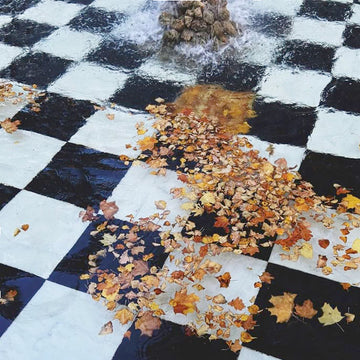 A black and white checkered stone surface with autumn leaves scattered across it and water spraying from a fountain in the center.