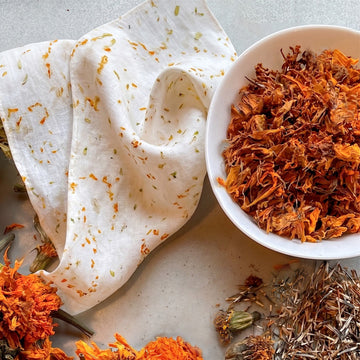 Natural marigold flower eco-print on sustainable hemp fabric with dried marigold petals used for botanical dyeing.