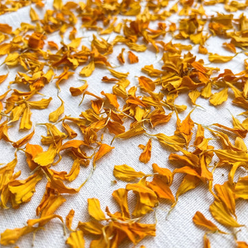 Dried orange and yellow flower petals scattered across a white textured fabric background.