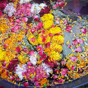 A close-up overhead view of a circular container filled with floating flower petals and small flower heads in yellow, pink, orange, white, and burgundy on dark water.