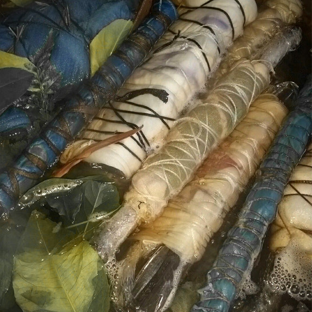 A close-up of several large blue abalone shells wrapped in white string, resting in shallow water with green leaves.