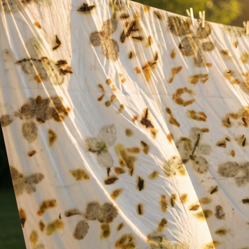 A close-up of a white fabric sheet or towel draped outdoors, covered with small dried botanical pieces and photographed in warm golden sunlight.