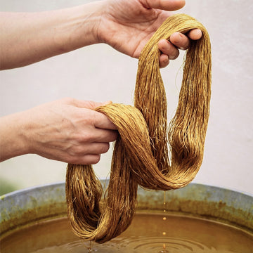 Hands holding a large bundle of golden-brown silk fiber strands above a bowl of liquid, with some strands dripping into the water.