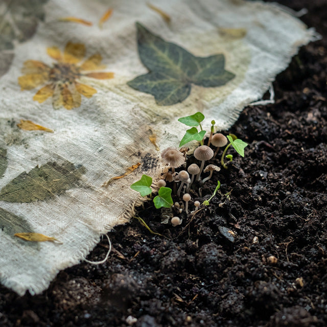 A close-up outdoor scene showing a cluster of small brown mushrooms growing in dark soil beside a folded off-white fabric eco-printed with dried leaves and flowers.