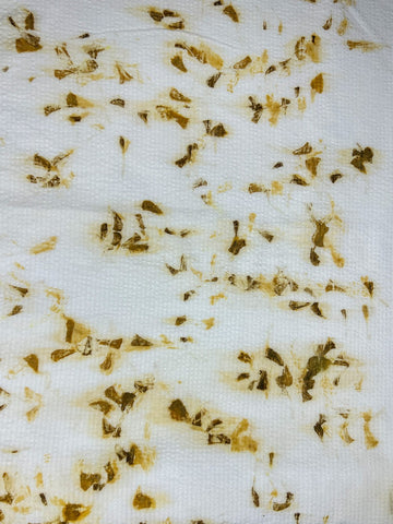 Bamboo-cotton seersucker fabric hand eco-printed with marigold petals, wide view of the print