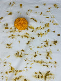 Marigold flower beside bamboo-cotton seersucker fabric eco-printed with marigold petals