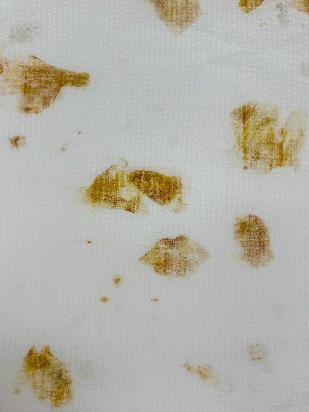 Bamboo-cotton seersucker fabric hand eco-printed with onion skins, spread view