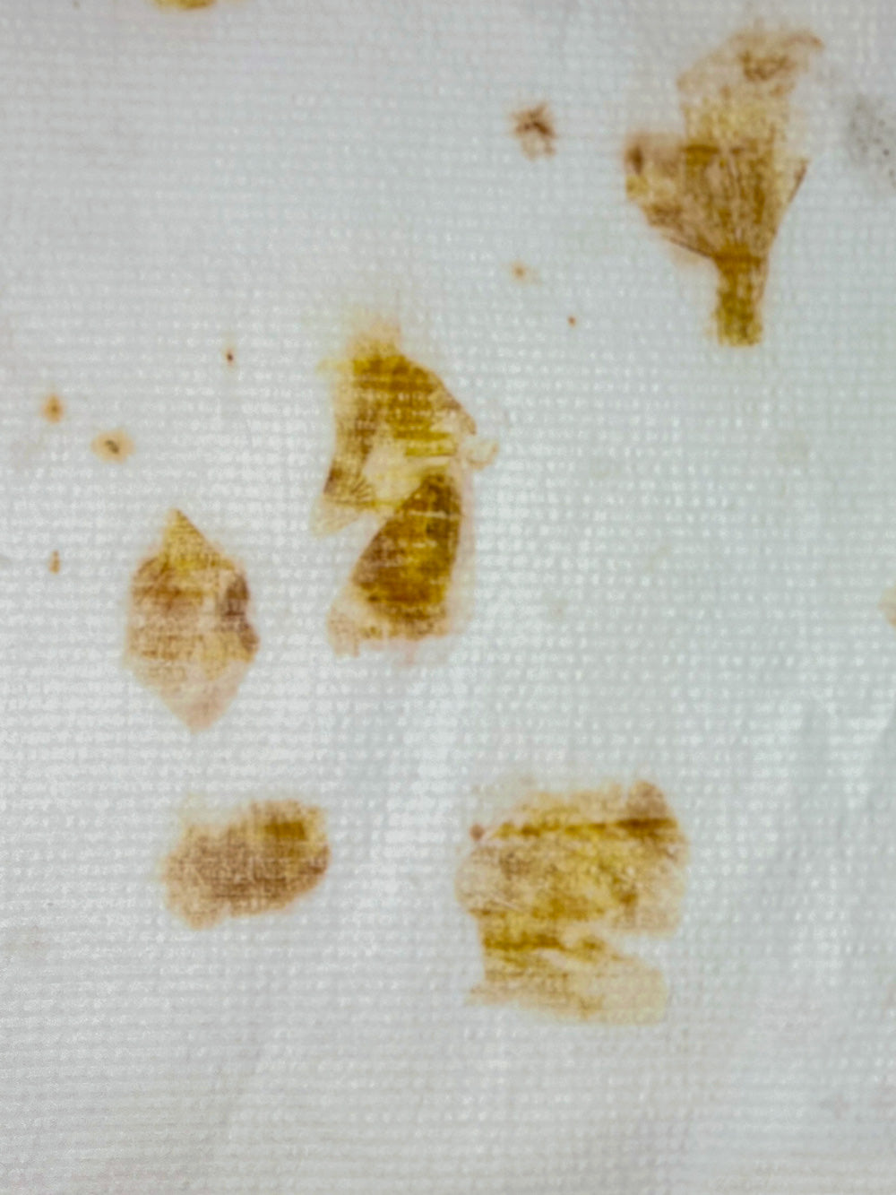 Close-up detail of onion skin eco-print on bamboo-cotton seersucker fabric