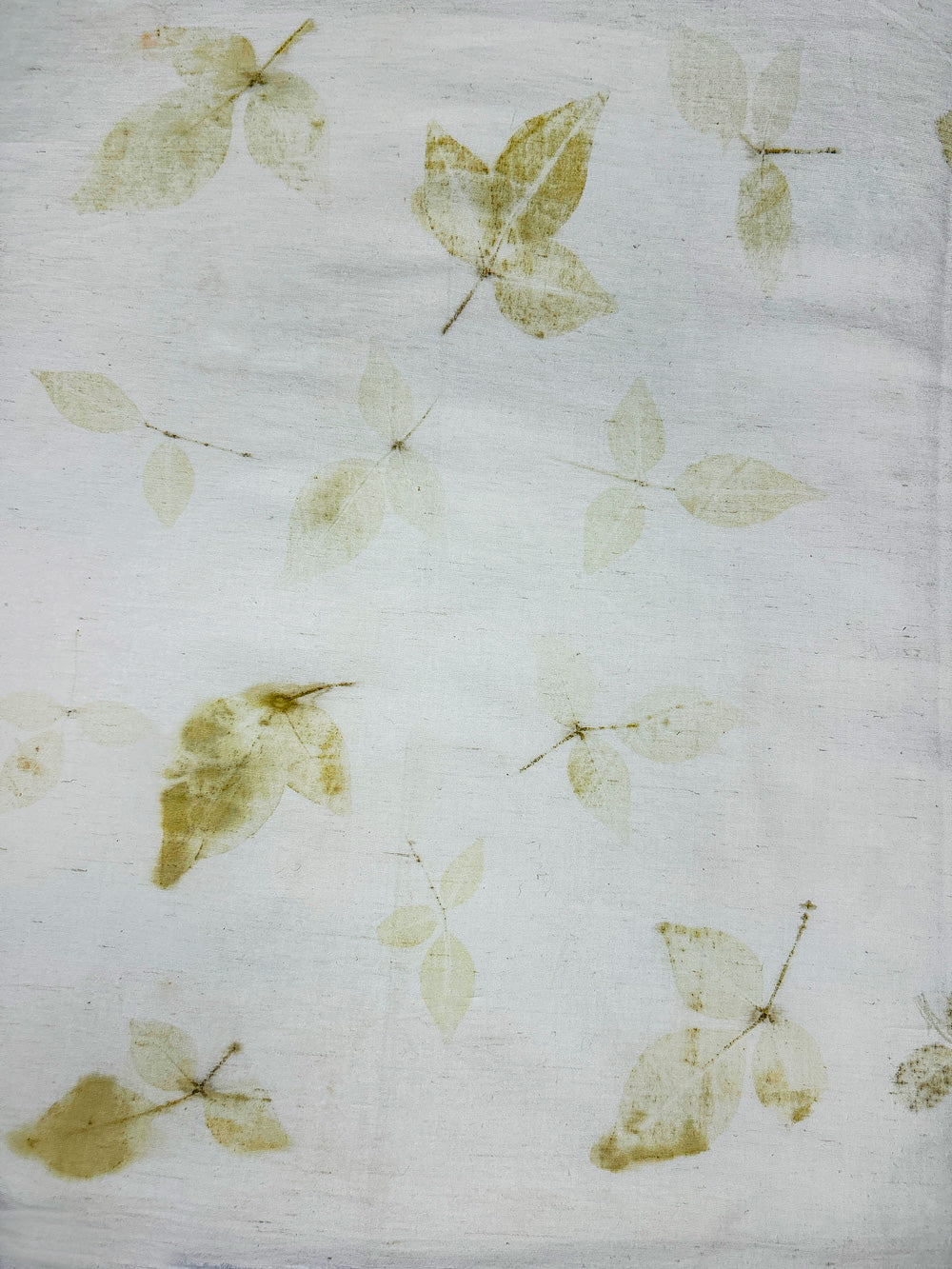 Hemp-cotton fabric hand eco-printed with Bel patra leaves, full spread showing repeated leaf prints