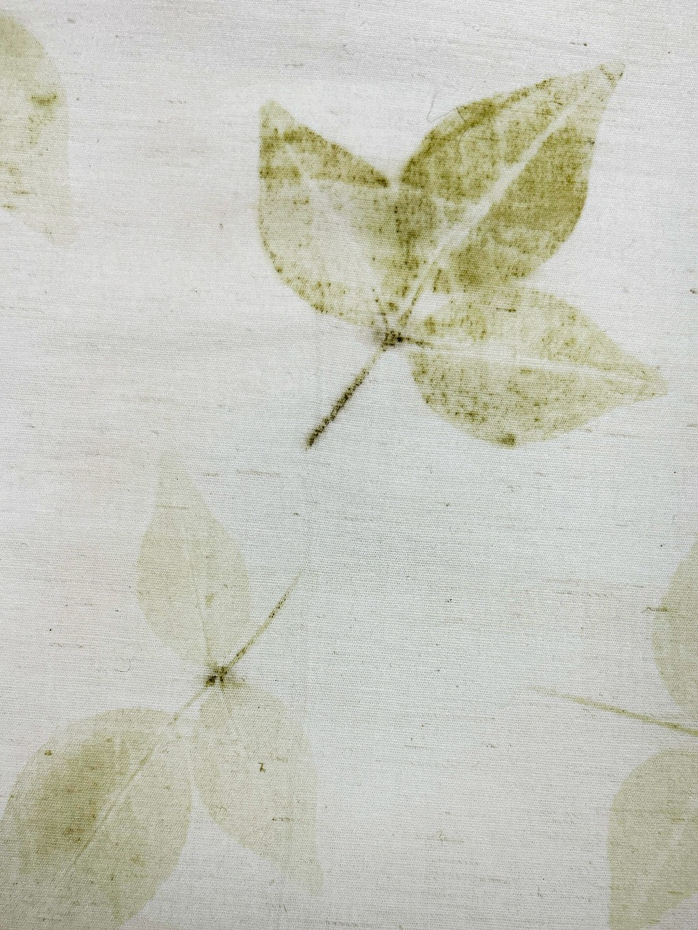 Close-up detail of a single Bel patra leaf eco-print on hemp-cotton fabric