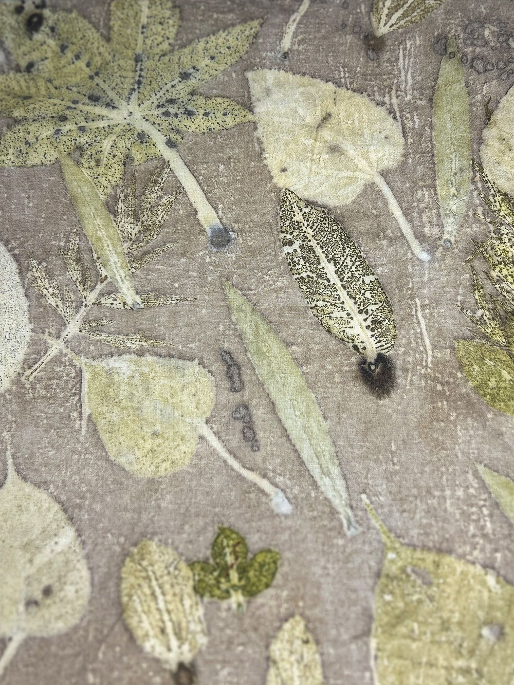Brown hemp-cotton fabric hand eco-printed with peepal, mahua and willow leaves, close view of the print