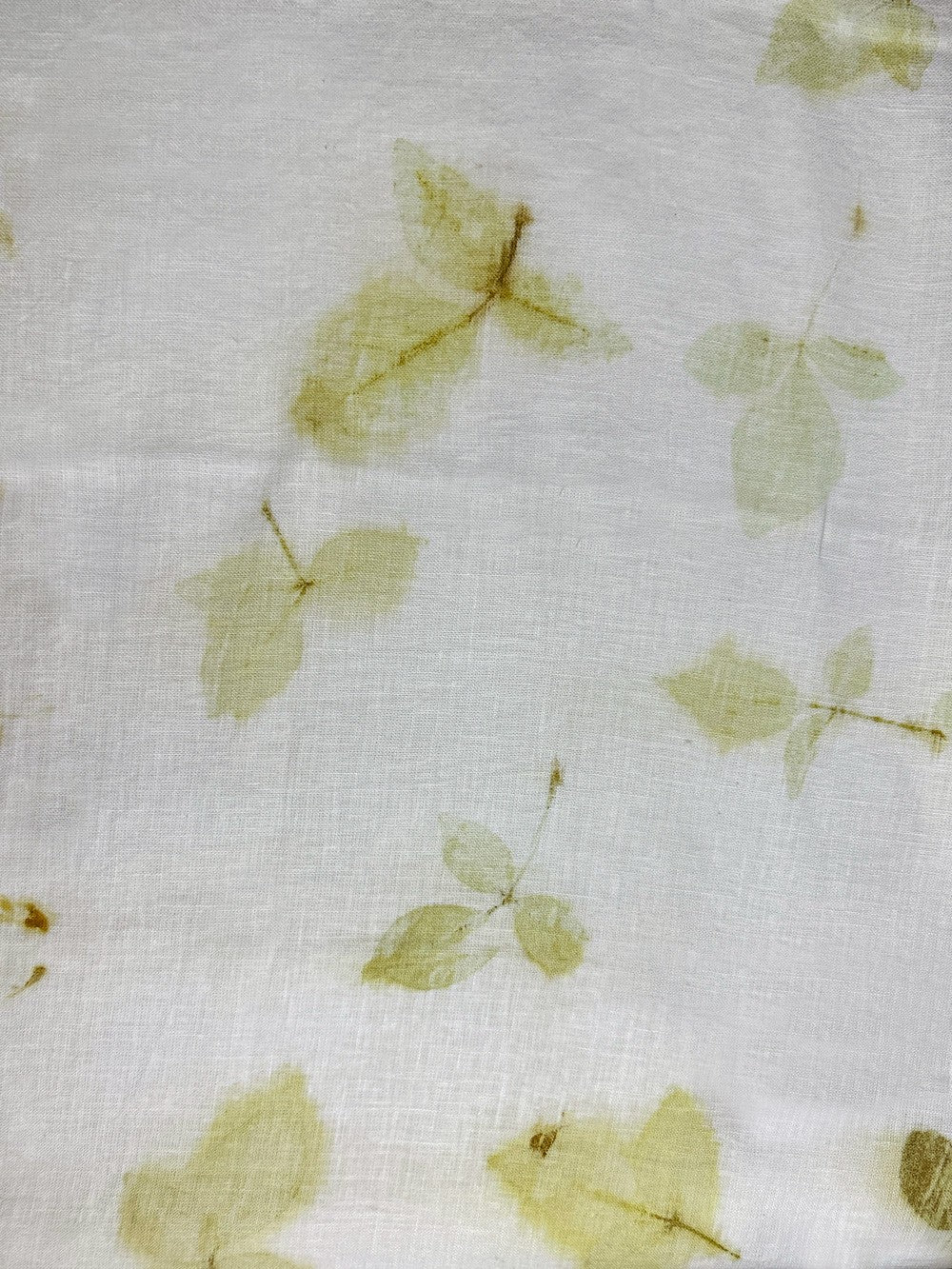 Linen fabric hand eco-printed with leaves, full spread showing repeated leaf prints