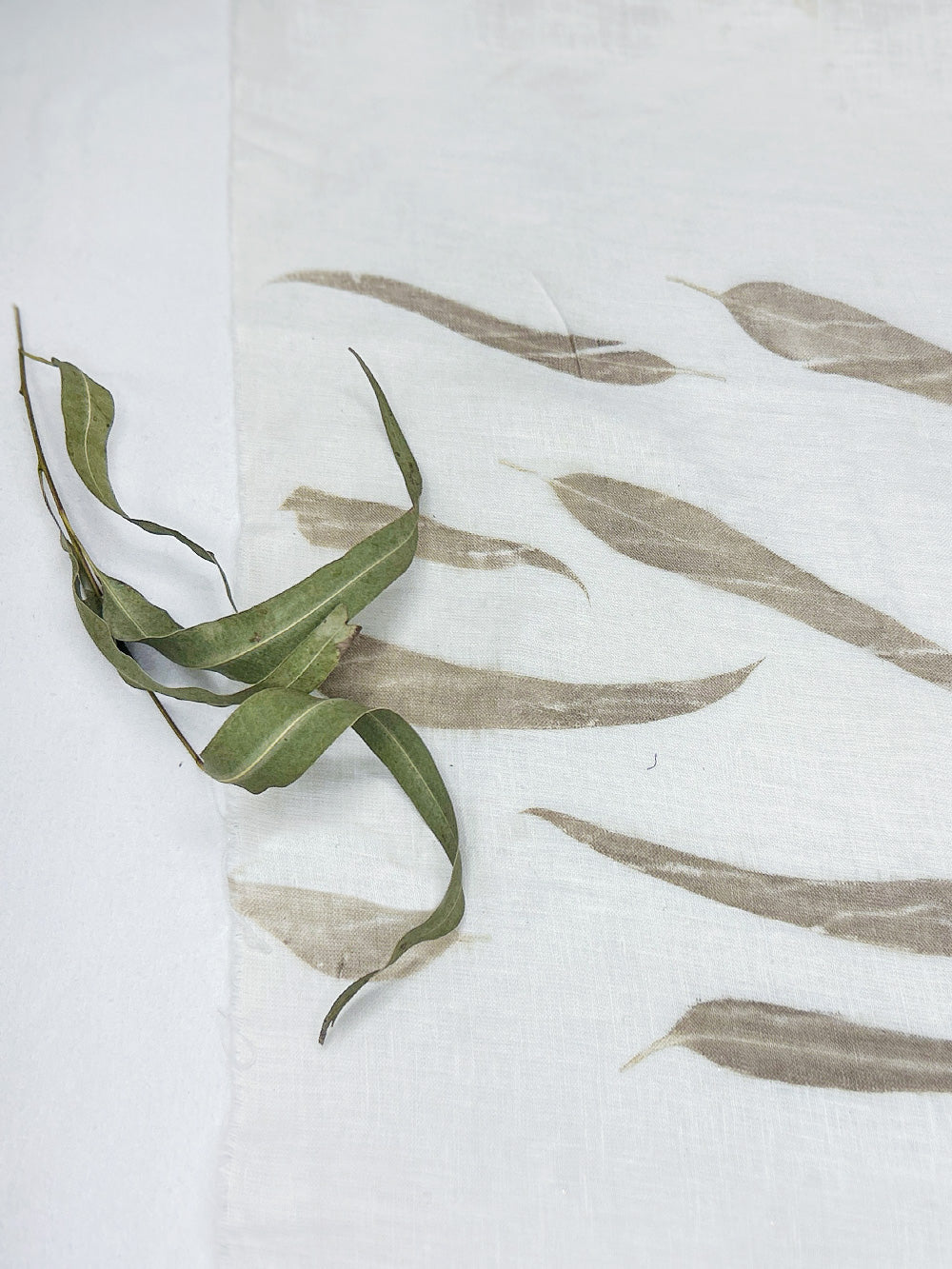 Ivory 40 Lea linen hand eco-printed with eucalyptus leaves, with a dried eucalyptus sprig resting on the cloth