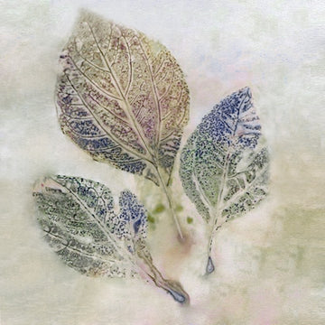 Close-up of three wood apple leaves naturally eco-printed onto fabric, revealing delicate leaf veins and botanical patterns in soft earthy and blue tones